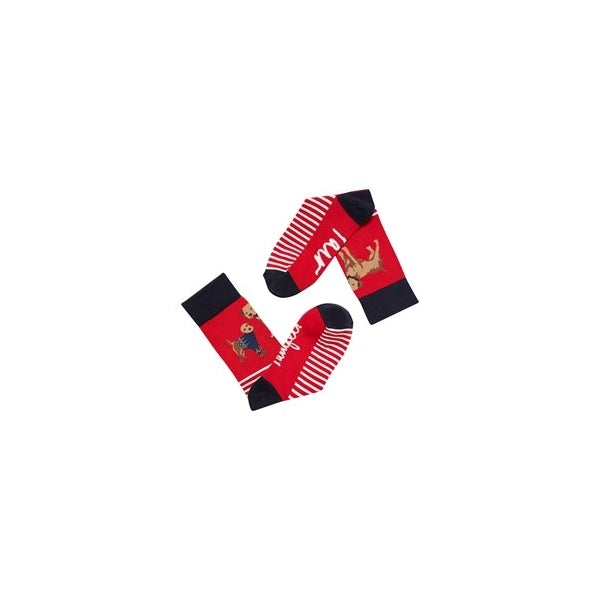 Joules EXCELLENT EVERYDAY SINGLE Womens Socks Red Dog: UK 4-8