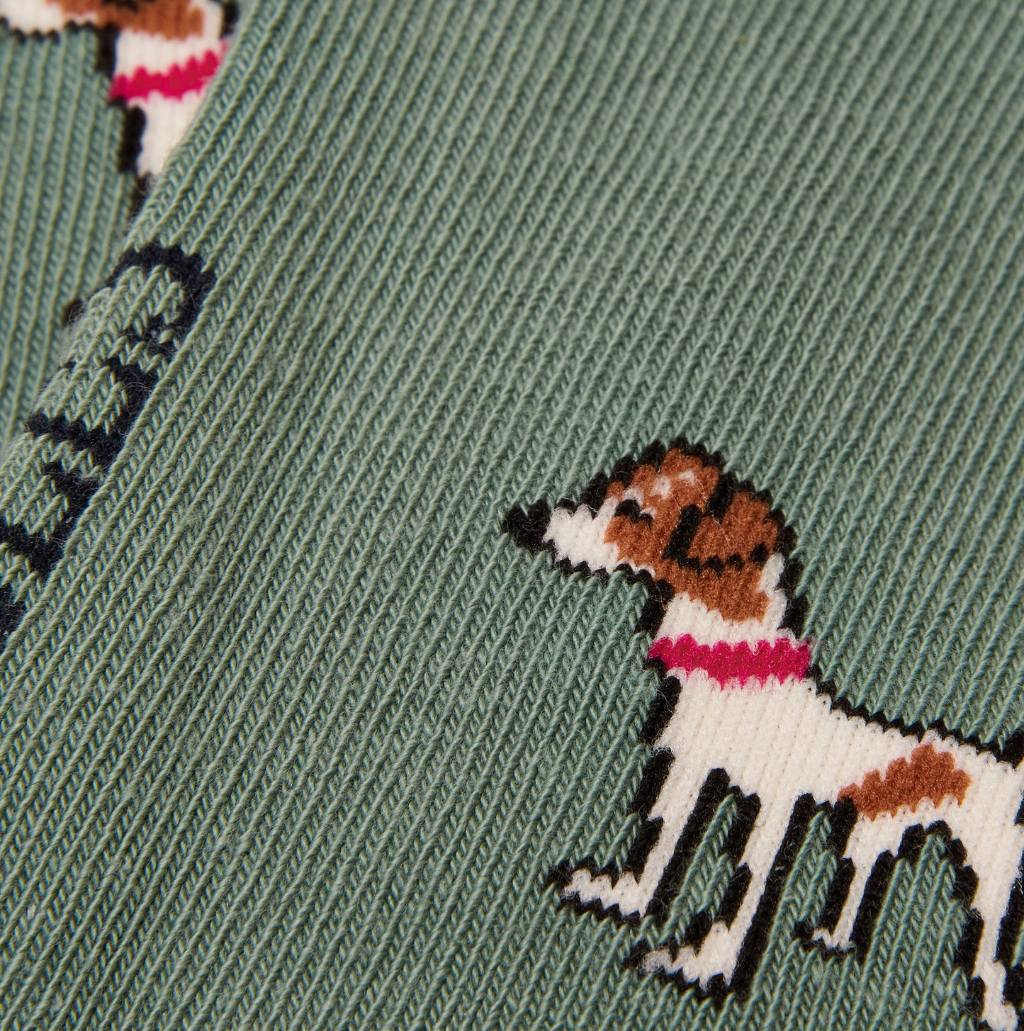 Joules EVERYDAY Womens Socks Green/Blue
