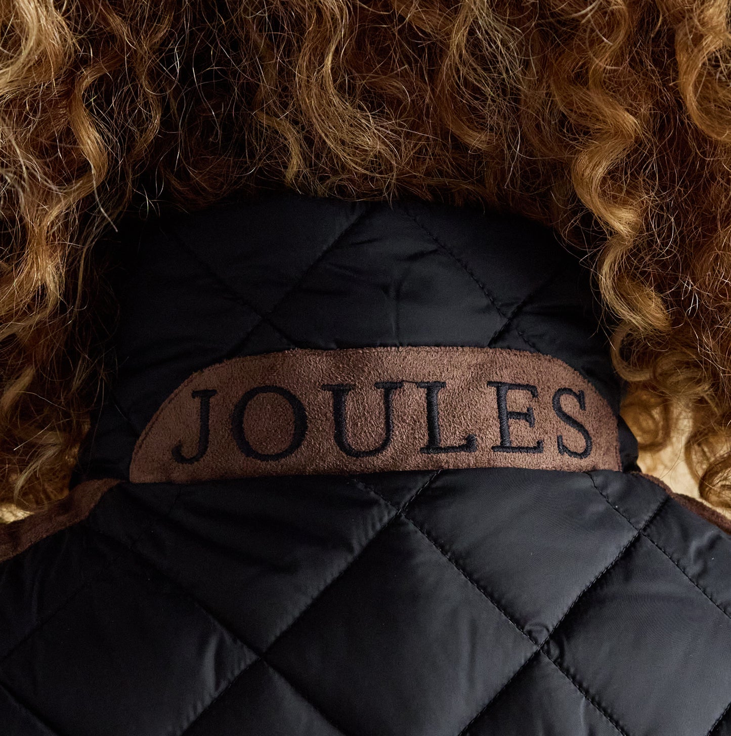 Joules BRAEMAR LUXE GILET Womens Gilets Navy