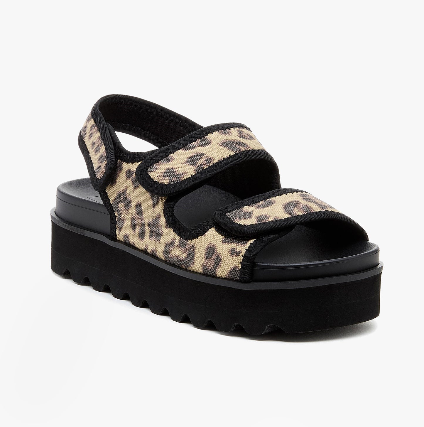 Rocket Dog BALMY DEXTER Womens Sandals Tan/Black