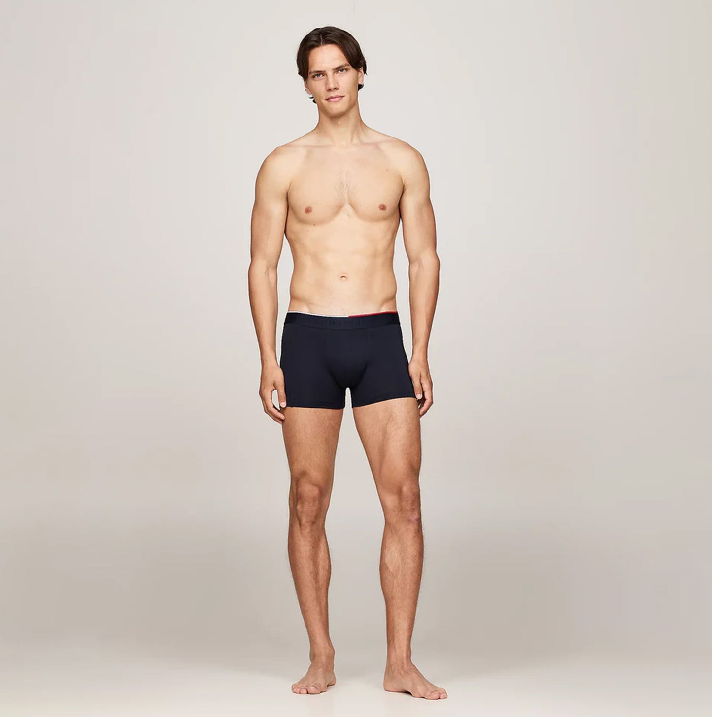 Tommy Hilfiger EVERYDAY MICRO Mens  3 -Pack Trunks Multicoloured