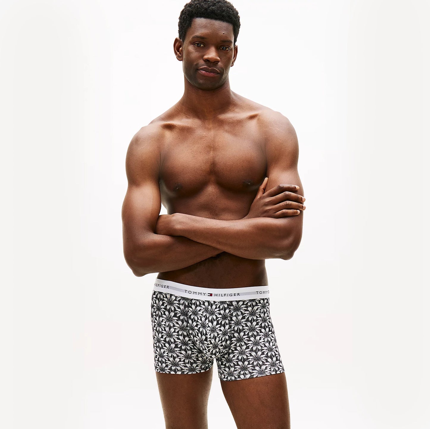 Tommy Hilfiger TRUNK PRINT Mens Trunks Multicoloured